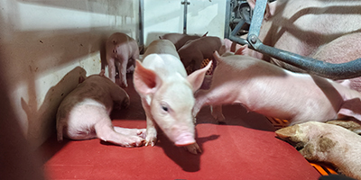 車輛洗消中心設(shè)計要求（規(guī)劃要求）？